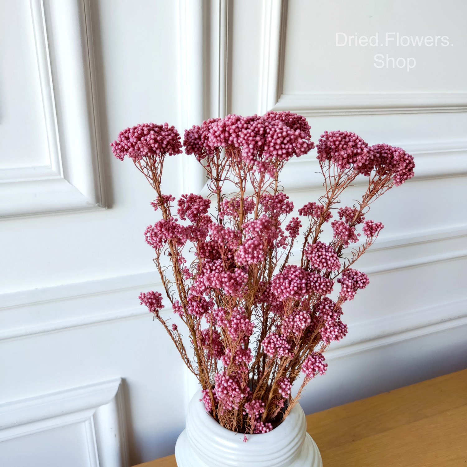 Dried Flowers Shop - Озотамнус розовый