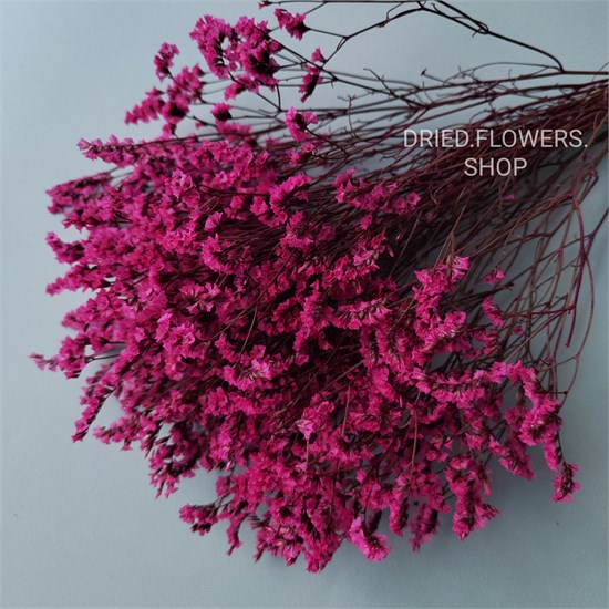 Лимониум ярко-розовый фуксия Lim_107-1