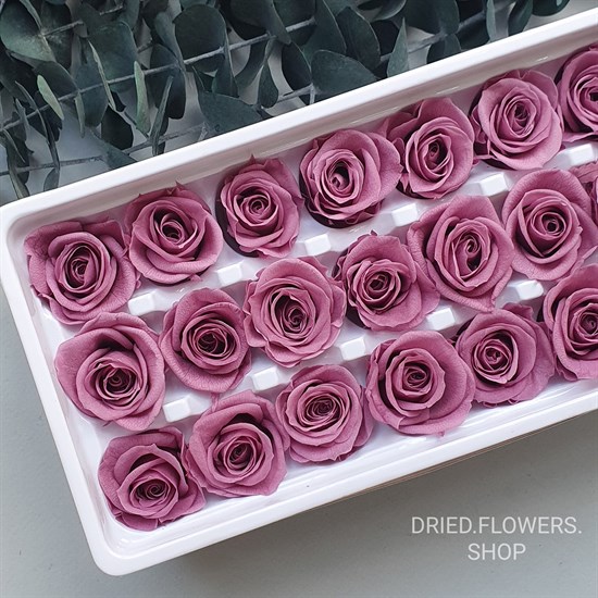 Роза 3,5 см фиолетовая сливовая (21) - фото 6331
