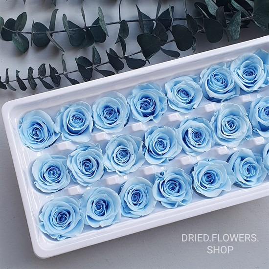 Роза 3-3,5 см голубая (21) - фото 6411