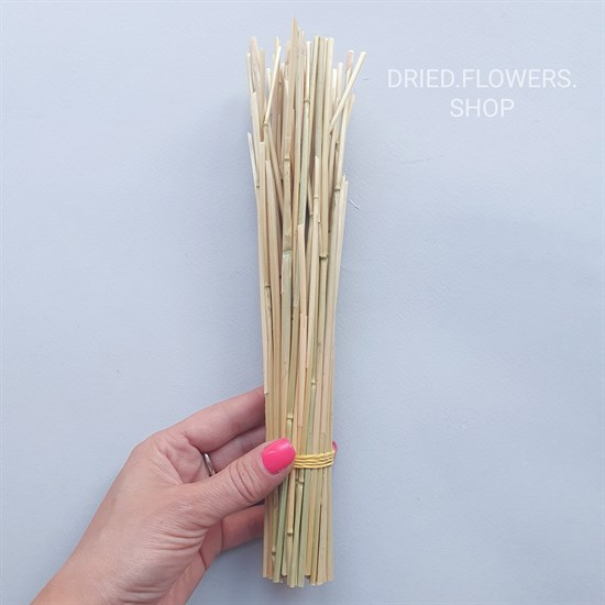 Dried Flowers Shop - Стебли пшеницы