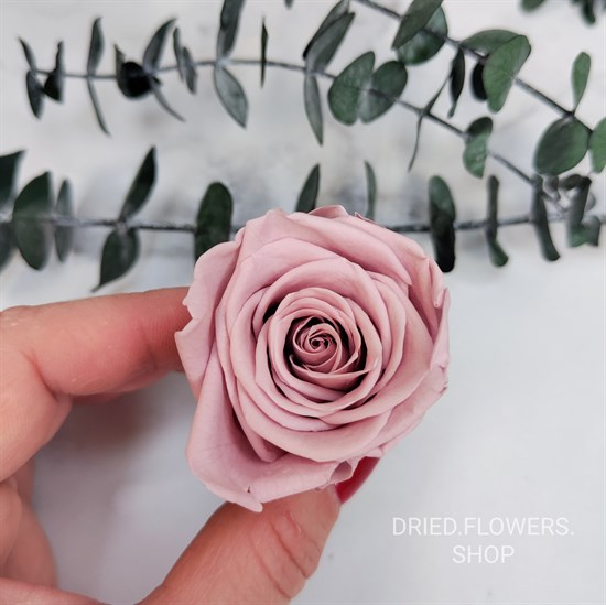 Роза 4-5 см светло-розовый нюд (10) - фото 8228