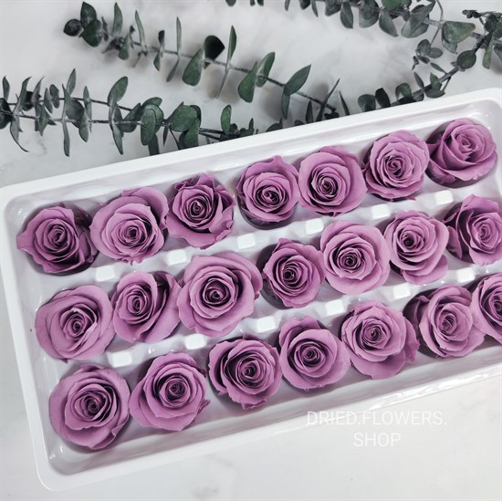 Роза 3 см фиолетовая темно-сливовая (21) - фото 8276