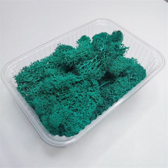 Мох стабилизированный зелено-бирюзовый p14kYNBXh7NvYts2MIBAX1