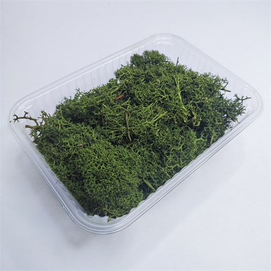 Мох стабилизированный зеленый оливковый 750 мл XmVDbjrqj2guYdRRCqM-m0