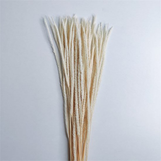 Флум белый кремовый Fl_703