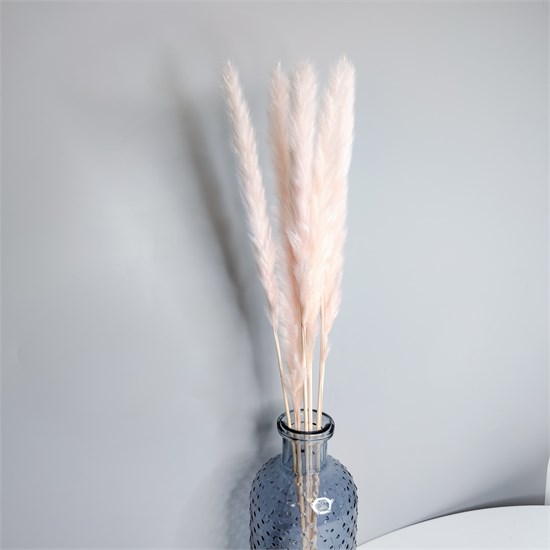 Пампас-мини светло-розовый, 5 шт. 4fTvmz0cj-Z1LqPkd9g1l1