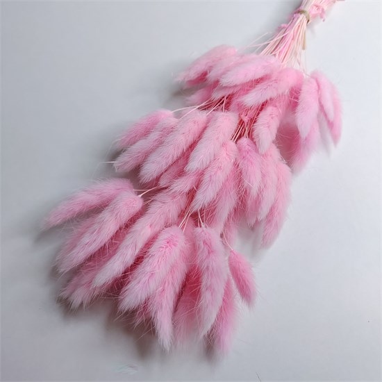 Лагурус 50-60 шт. светло-розовый бабл гам Iga5WOFKj2skkdUeBZ0Nl3