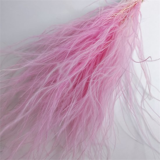 Ковыль розовый барби 3qls29HTgLqcMktB7qgTw3