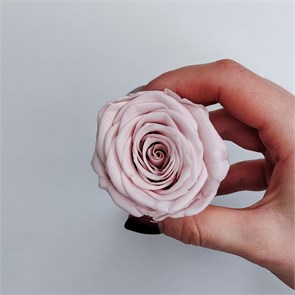 Роза 4,5-5 см светло-розовый нюд (10) R10_601