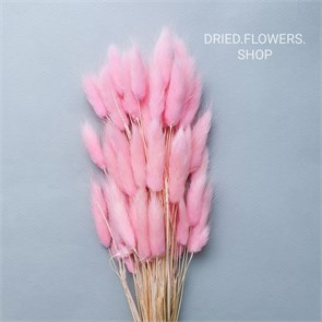 Лагурус 50-60 шт. светло-розовый бабл гам Iga5WOFKj2skkdUeBZ0Nl3