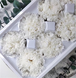 Гвоздика 5 см белая (8) CA8_701