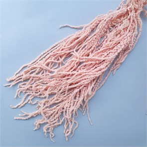 Амарант стабилизированный светло-розовый Am_102