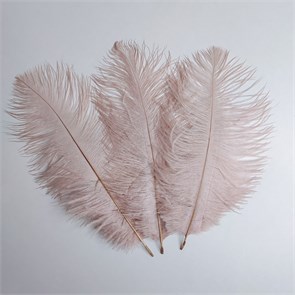 Перья страуса пудровый розовый 23-27 см (3 шт.) evzu48BRh8ubh6KQc15nh2