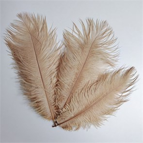 Перья страуса нюд 23-27 см (3 шт.) yNflyyMEitvoe1HJD1ohO2