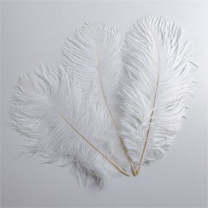 Перья страуса белые 23-27 см, 3 шт. Fth_ow