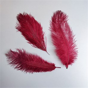 Перья страуса бордо 23-27 см, 3 шт. OudG5u4RiBPZsMzZDi7EX1