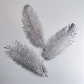 Перья страуса серые 23-27 см, 3 шт. ipcKPRZeh65QbFEWXeRmL1