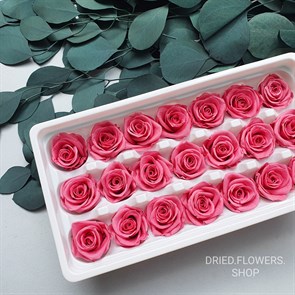 Роза 3-3,5 см малиново-розовая (21)