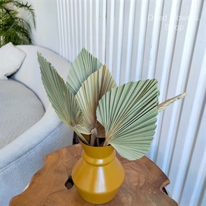 Листья пальмы пики натуральные крупные