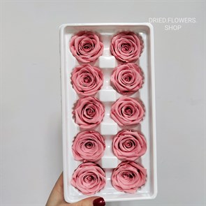 Роза 4-5 см кораллово-розовая (10)