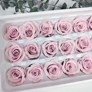 Роза 3 см лилово-розовая восход (21)