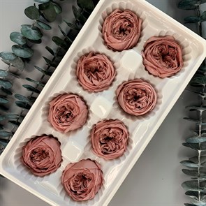 Роза пионовидная 4-5 см розовый нюд (8)