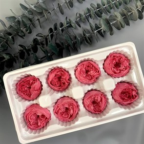 Роза пионовидная 4,5-5 см малиново-розовая (8)