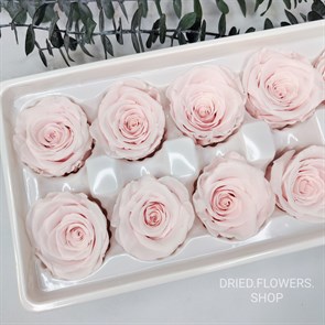 Dried Flowers Shop - Роза 4-4,5 см светло-розовая молочная (10)