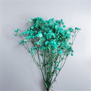 Гипсофила бирюзовая Gy_308