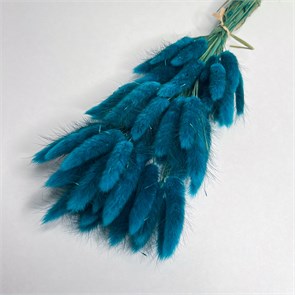 Лагурус 50-60 шт. темно-бирюзовый Q2SMEsjEiQjyS7z2gpD-M3