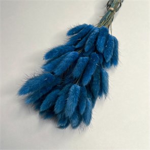 Лагурус 50-60 шт. синий морская волна FrqQNlbijhzBQdGqlBsBz1