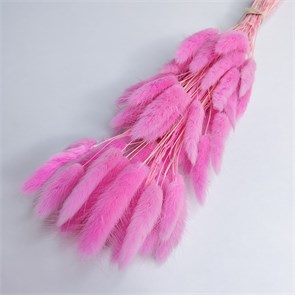 Лагурус 50-60 шт. розовый Барби If--aAAOhFcEc8dbMur180