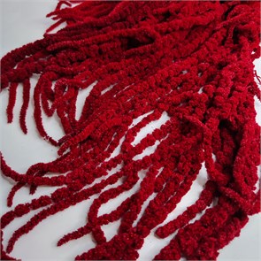 Амарант стабилизированный красный veETcynNgmINpY0dueBcW3