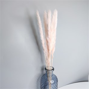 Пампас-мини светло-розовый, 5 шт. 4fTvmz0cj-Z1LqPkd9g1l1