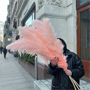 Пампасная трава светло-розовая, 1 шт. Cor_lpink