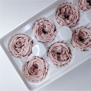 Роза пионовидная 4-4,5 см пудровый нюд (8) gBiau6Qfh4GfEE3s775SE1