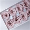Роза 4,5-5 см светло-розовый нюд (10) R10_601