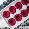 Роза 4-4,5 см красно-вишневая (10) M9DdELemgXumQrQHizbSk3