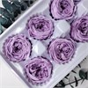Роза пионовидная 4,5-5 см сиреневая лавандовая (8) RP8_512