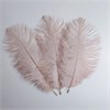 Перья страуса пудровый розовый 23-27 см (3 шт.) evzu48BRh8ubh6KQc15nh2