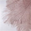 Перья страуса пудровый розовый 23-27 см (3 шт.) evzu48BRh8ubh6KQc15nh2