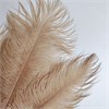 Перья страуса нюд 23-27 см (3 шт.) yNflyyMEitvoe1HJD1ohO2