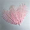 Перья страуса розовый 23-27 см (3 шт.) S7pAkyz7gQbV5Rfngn16A1