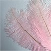 Перья страуса розовый 23-27 см (3 шт.) S7pAkyz7gQbV5Rfngn16A1