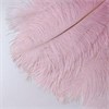Перья страуса розовый 23-27 см (3 шт.) S7pAkyz7gQbV5Rfngn16A1