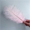 Перья страуса розовый 23-27 см (3 шт.) S7pAkyz7gQbV5Rfngn16A1