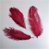 Перья страуса бордо 23-27 см, 3 шт. OudG5u4RiBPZsMzZDi7EX1