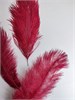 Перья страуса бордо 23-27 см, 3 шт. OudG5u4RiBPZsMzZDi7EX1