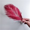 Перья страуса бордо 23-27 см, 3 шт. OudG5u4RiBPZsMzZDi7EX1